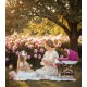 wózka dla lalek retro - Adbor Lulu 01 różowy - pink doll pram 