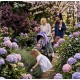 Spacerówka do 22 kg – Natoni Joy New Veri Peri filetowy - Purple stroller Joy
